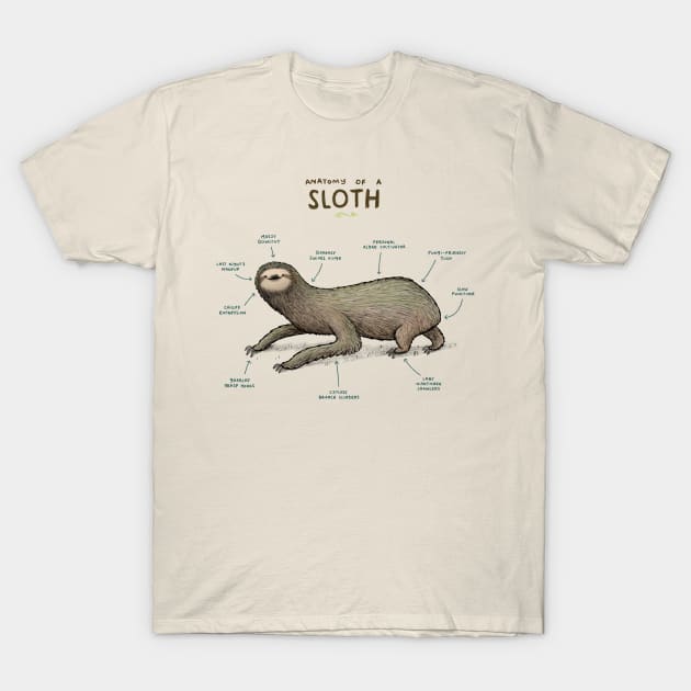 Anatomy of a Sloth T-Shirt by Sophie Corrigan